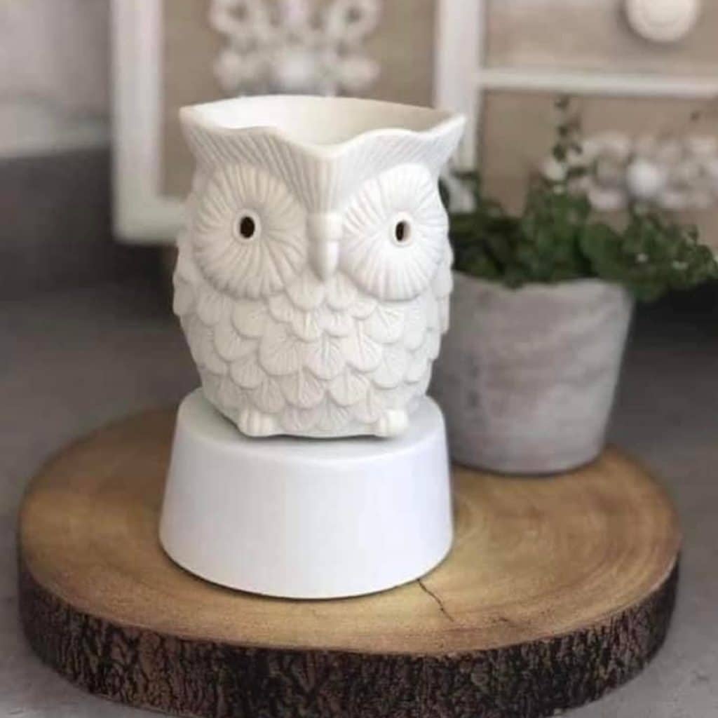 Whoot Owl Scentsy Warmer The Candle Boutique Scentsy Uk Consultant