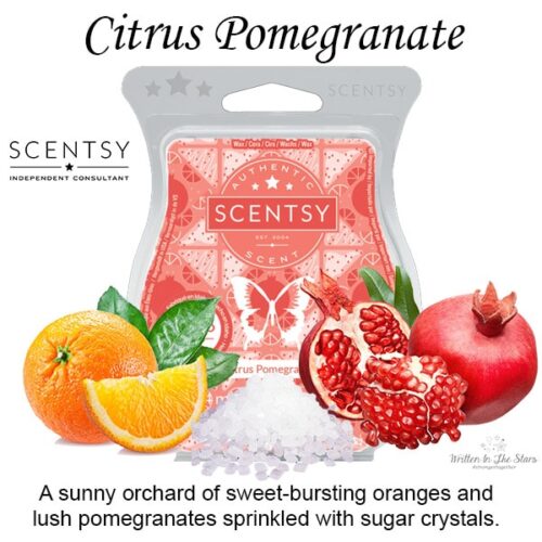 Citrus Pomegranate Scentsy Bar - The Candle Boutique - Scentsy UK ...