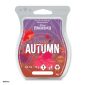 A Dance of Autumn Scentsy Bar - Frozen 2