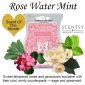 Rose Water Mint Scentsy Bar