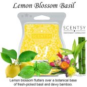 Lemon Blossom Basil Scentsy Wax Melt