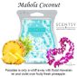 Mahola Coconut Scentsy Bar