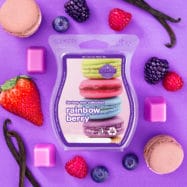 Rainbow Berry Scentsy Bar - The Candle Boutique - Scentsy UK Consultant