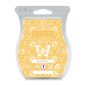 Buzz Worthy Scentsy Bar