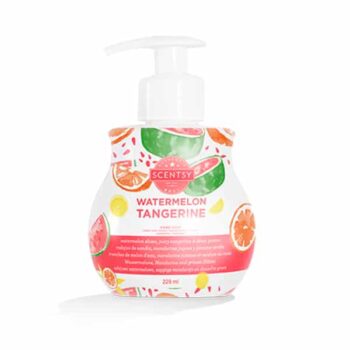 Watermelon Tangerine Scentsy Bar - The Candle Boutique ...