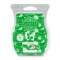 Coco Lime Scentsy Bar