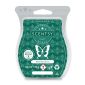 Aloe Vera & Ivy Scentsy Bar