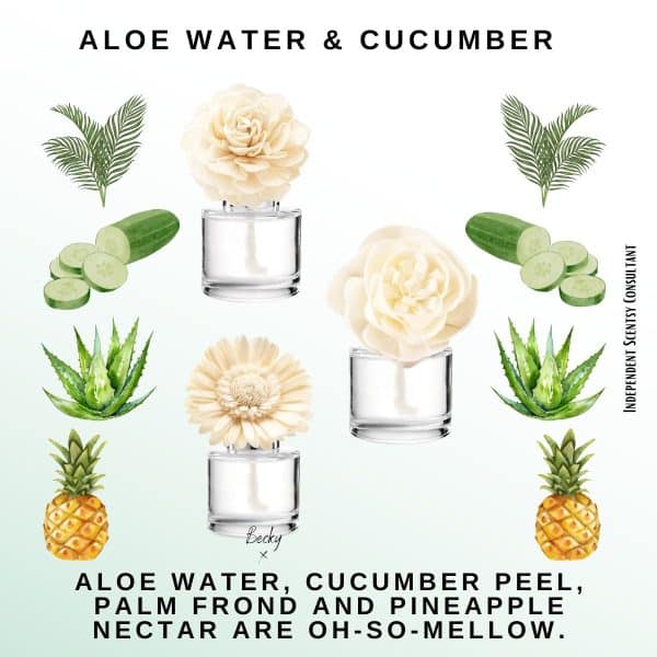 Aloe Water & Cucumber Scentsy Fragrance Flower