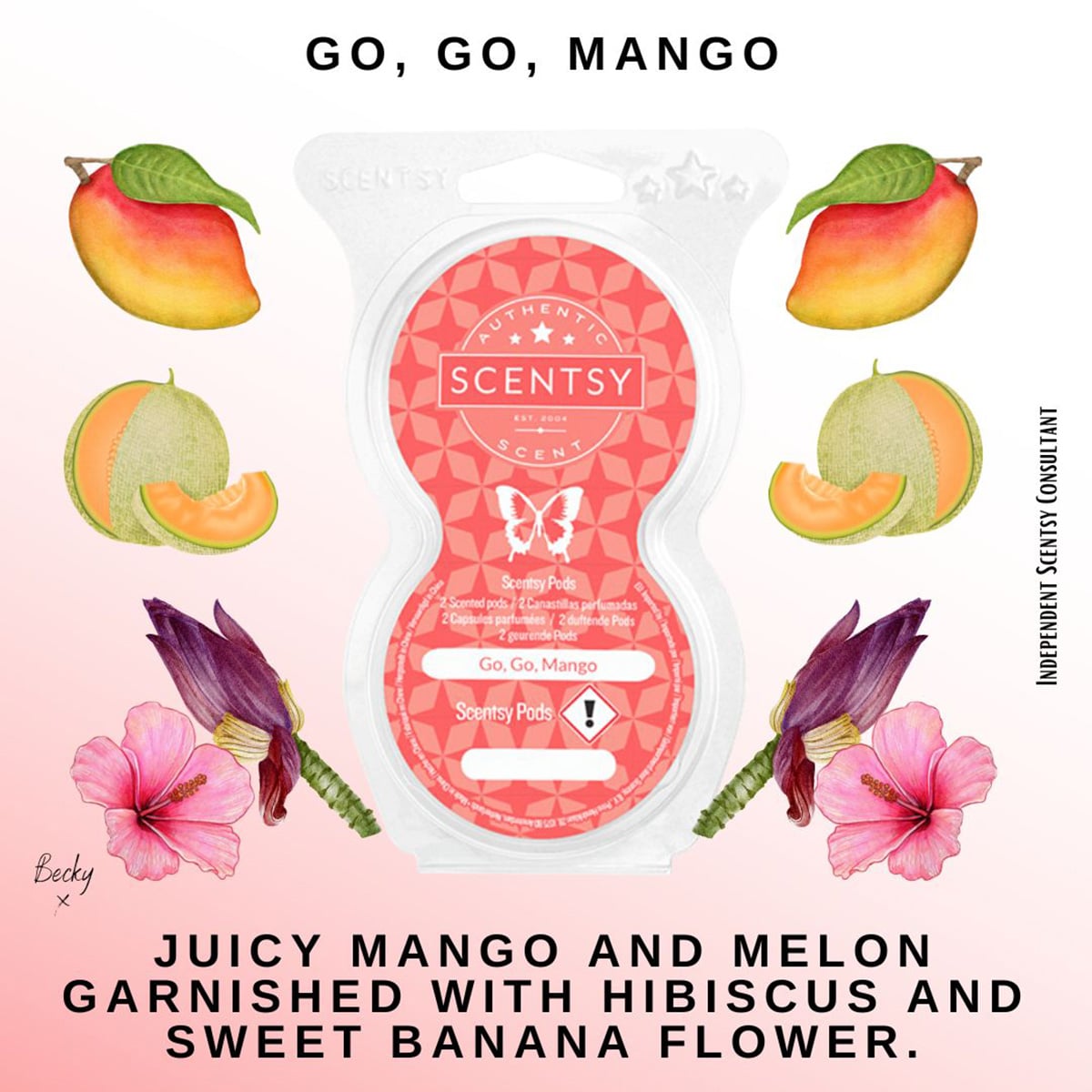 Go Go Mango Scentsy Wax Bar Bundle - The Safest Candles