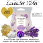 Lavender Violet Scentsy Wax Bar