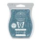 Blue Sage & Tonka Scentsy Bar