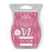 Cashmere & Corduroy Scentsy Bar - The Candle Boutique - Scentsy Uk 