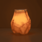 Rock Quarry Scentsy Warmer