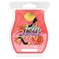 Keep It Sassy Scentsy Bar