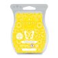 Pineapple Mango Scentsy Bar