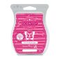 Pink Rhubarb Sugar Scentsy Bar