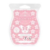 Vitamin U(nwind) Scentsy Bar