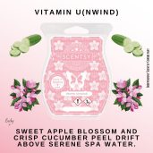 Vitamin U(nwind) Scentsy Bar