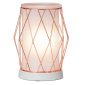 Wire You Blushing Scentsy Warmer