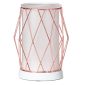 Wire You Blushing Scentsy Warmer Off