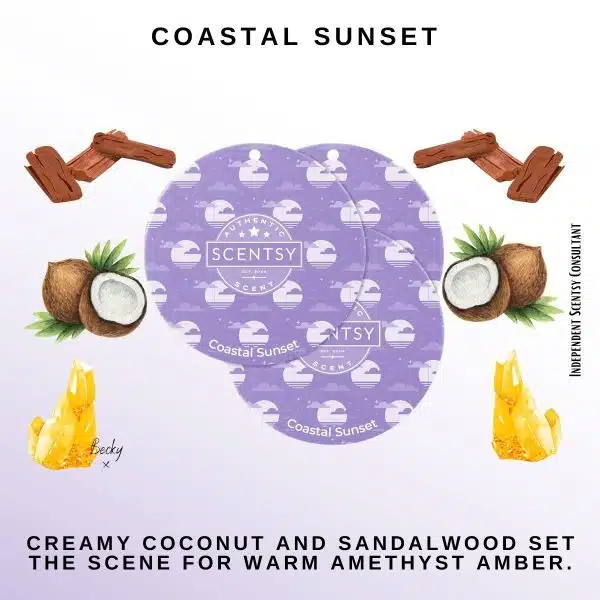 Coastal Sunset Scentsy Scent Circle