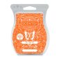 Hey, Tiger Lily Scentsy Bar