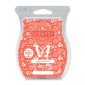 Ruby Nectarine Scentsy Bar