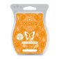 My Darling Clementine Scentsy Bar