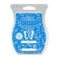 Big Surf Scentsy Bar