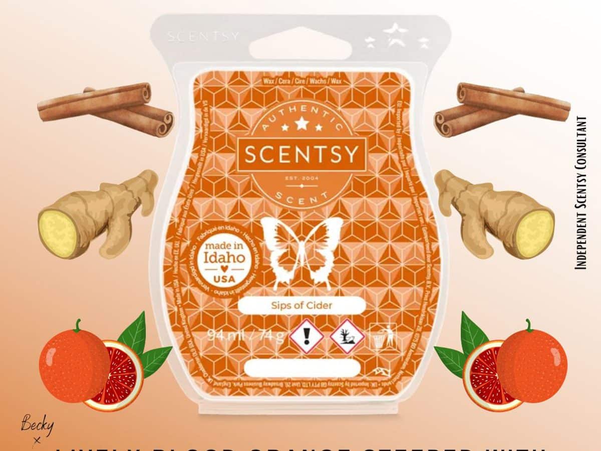 Sips of Cider Scentsy Bar - The Candle Boutique - Scentsy UK Consultant