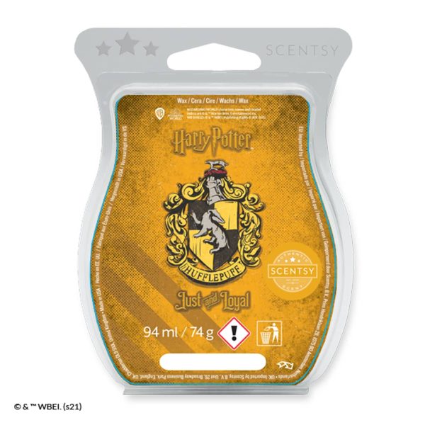 Berni on X: This awesome Harry Potter wax warmer will be