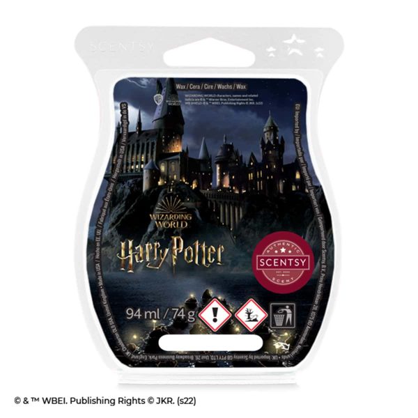 Hedwig™ Harry Potter™ Scentsy Plugin Mini Warmer with Wall Plug - The Candle  Boutique - Scentsy UK Consultant