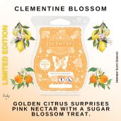 Clementine Blossom Scentsy Wax Bar