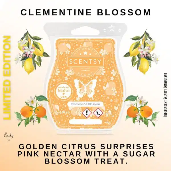 Clementine Blossom Scentsy Wax Bar