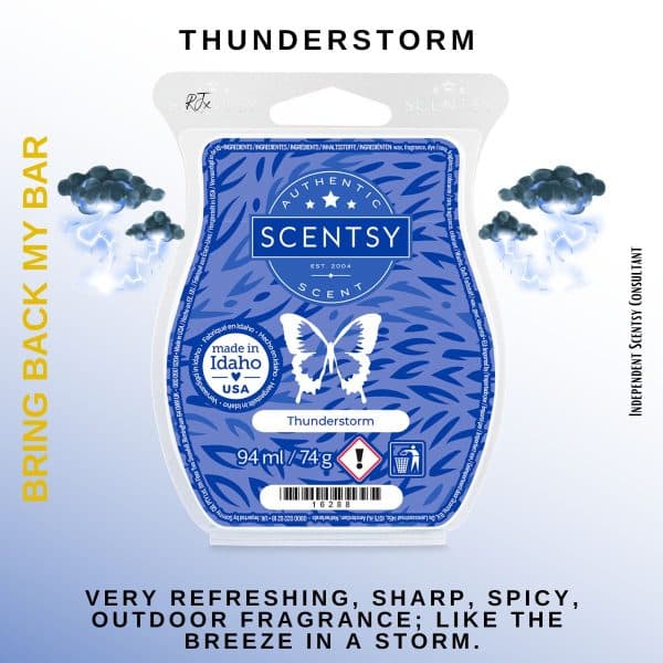 Thunderstorm Scentsy Bar