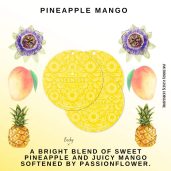 Pineapple Mango Scentsy Scent Circle