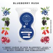 Blueberry Rush Scentsy Fragrance Pods