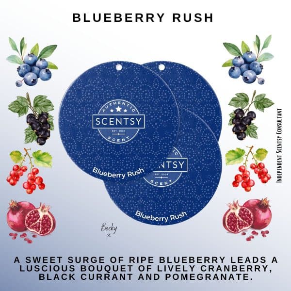 Blueberry Rush Scentsy Scent Circle