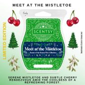 Meet at the Mistletoe Scentsy Wax Bar