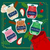 Scents of the Season Scentsy Wax Collection 2024 Styled