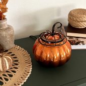 Starry Pumpkin Scentsy Warmer Real Life