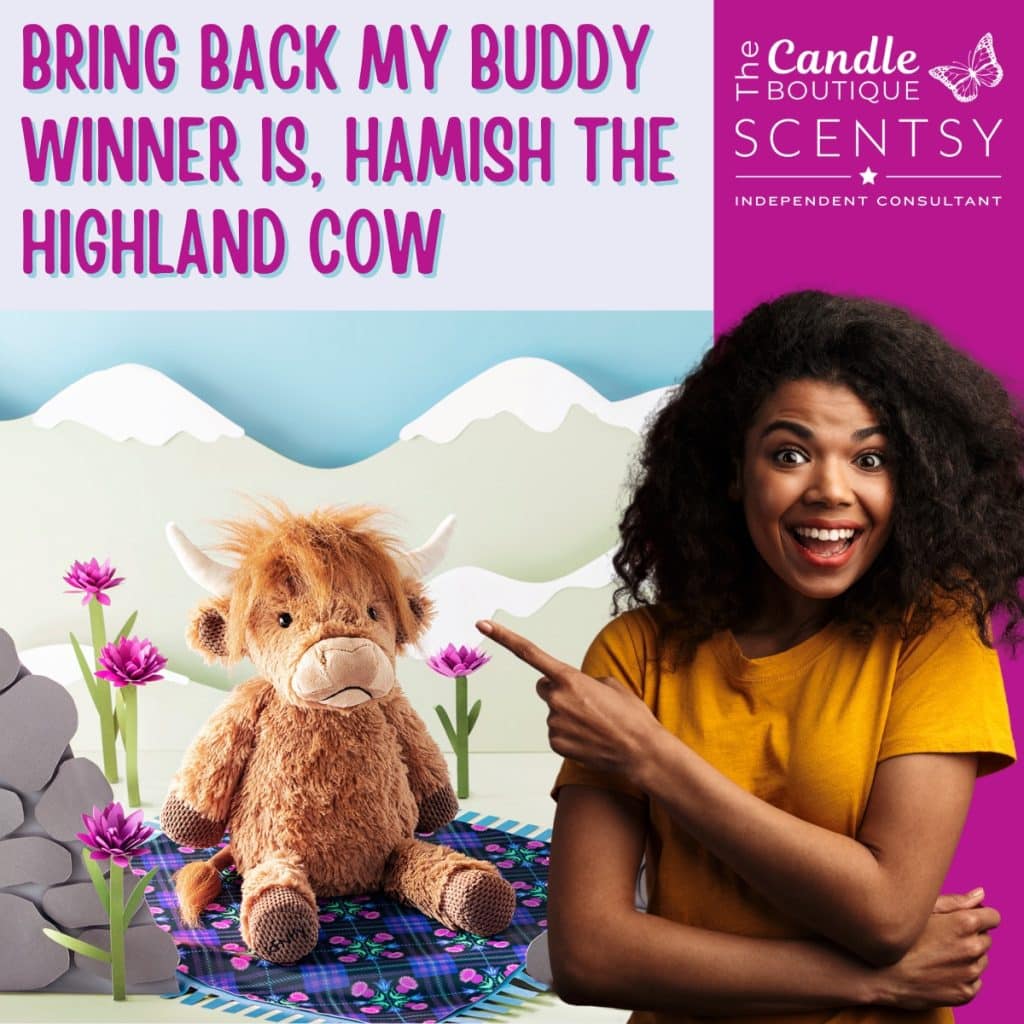 Bring Back My Buddy Winner Is Hamish the Highland Cow