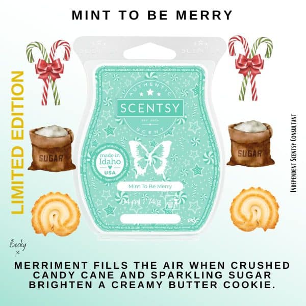 Mint-To-Be-Merry-Scentsy-Wax-Bar.