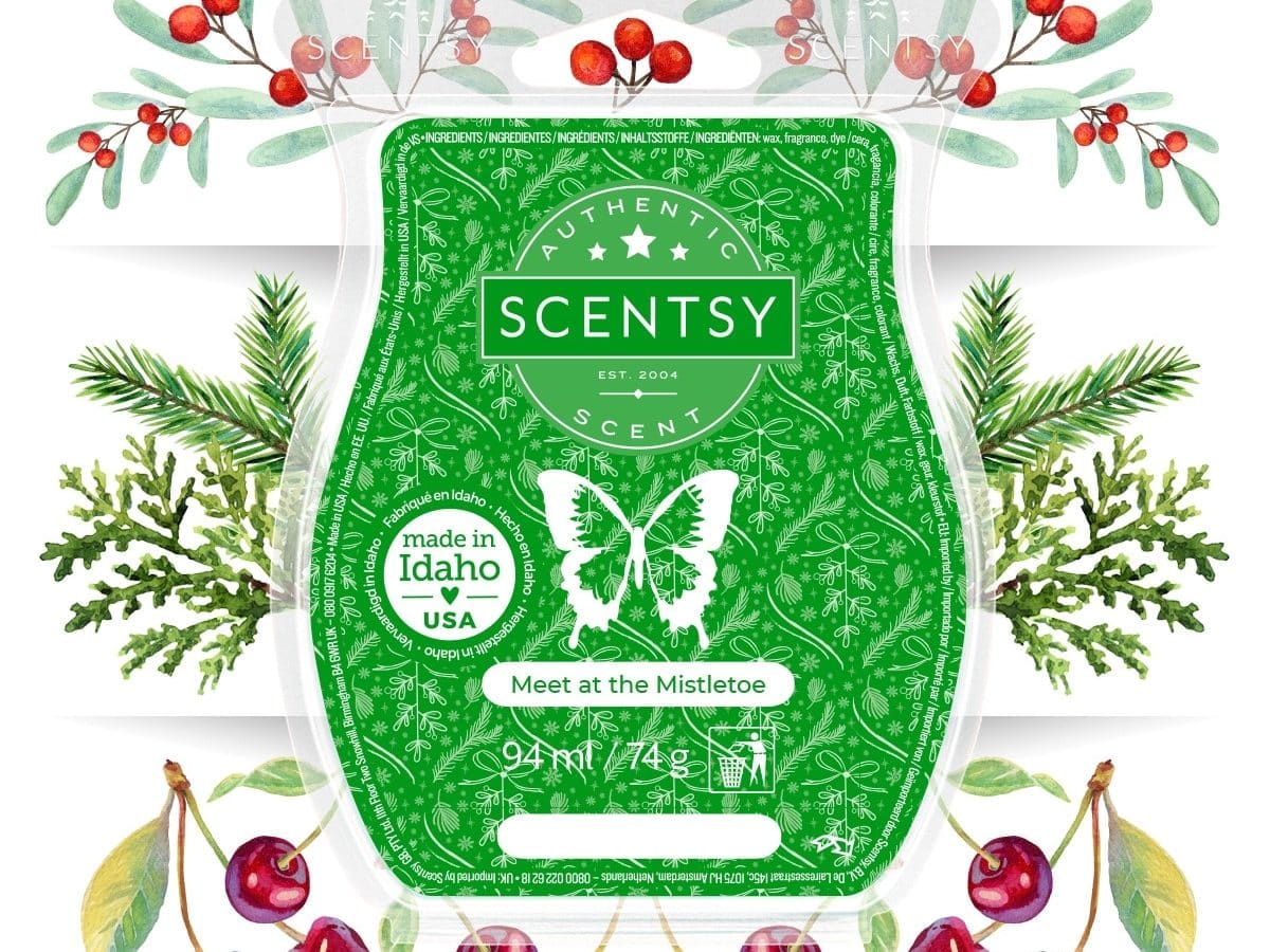 Meet at the Mistletoe Scentsy Bar (December Scent of the Month