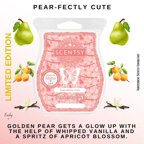 Valentine's Day Collection Scentsy Bar Bundle