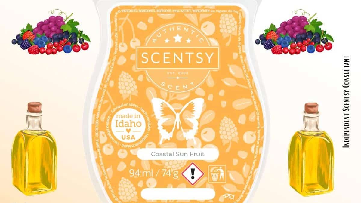 Coastal Sun Fruit Scentsy Bar - The Candle Boutique - Scentsy UK 