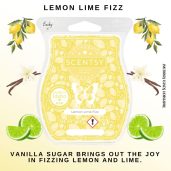 Lemon Lime Fizz Scentsy Wax Bar