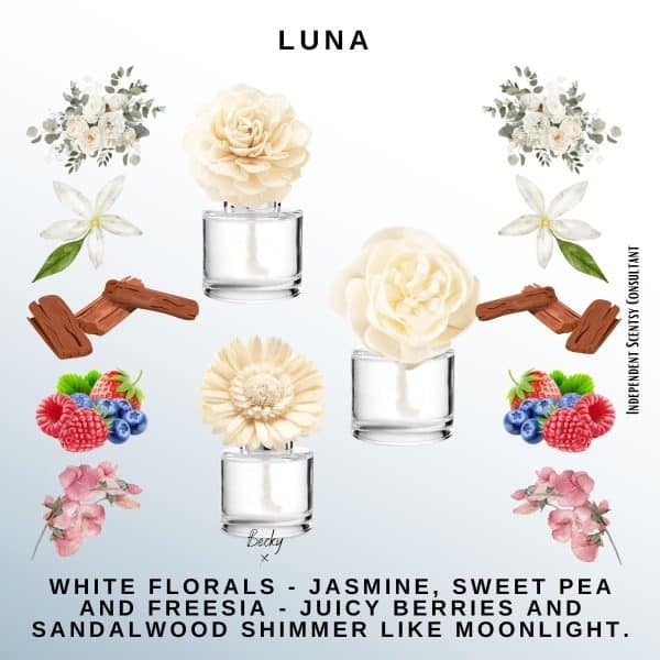 Luna Scentsy Fragrance Flower