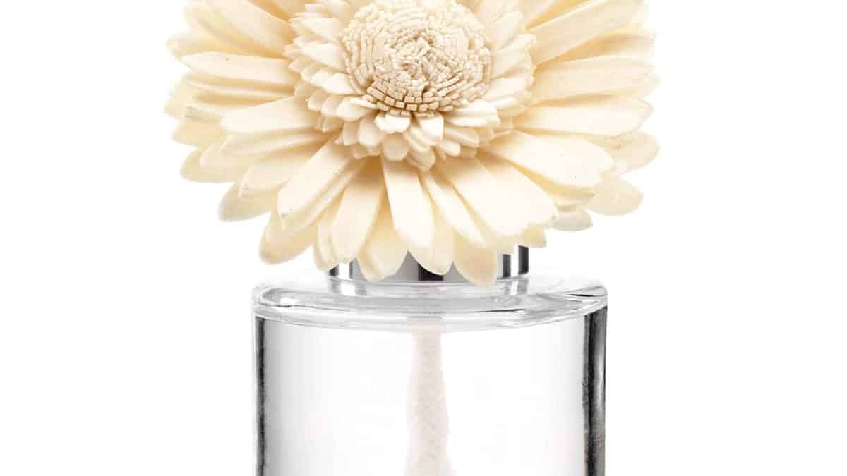 https://www.thecandleboutique.co.uk/wp-content/uploads/2024/02/Scentsy-Fragrance-Flower-%E2%80%93-Dainty-Daisy-1200x675-cropped.jpg
