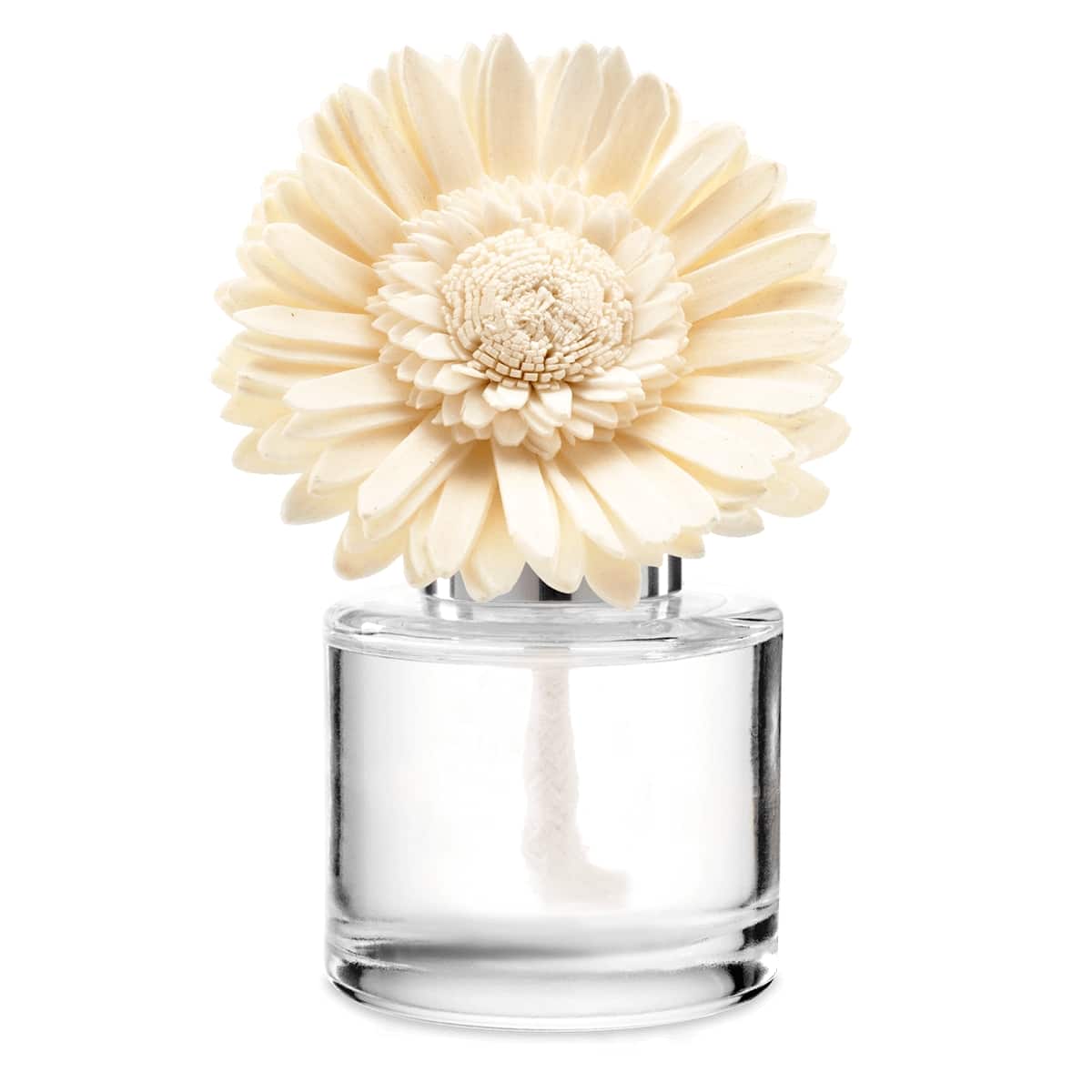 Pink Cotton Scentsy Fragrance Flower – Dainty Daisy - The Candle